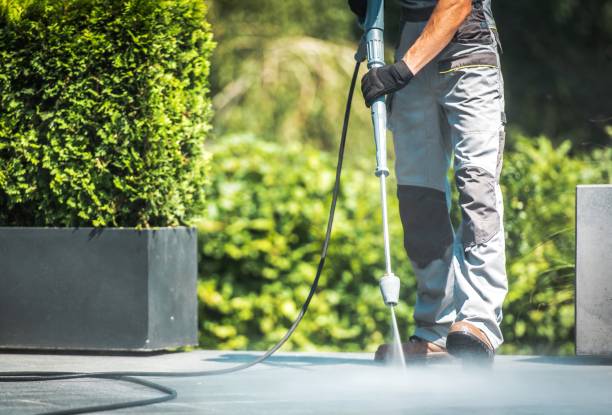 Best Solar Panel Cleaning  in Lochearn, MD