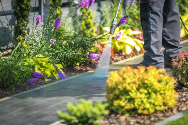 Trusted Lochearn, MD Pressure Washing Experts
