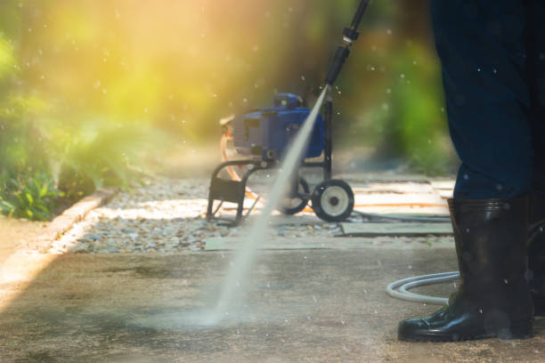 Animal Enclosure Cleaning in Lochearn, MD